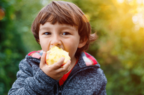 Tips to Make Food Supplies Last Longer in the Montessori Classroom
